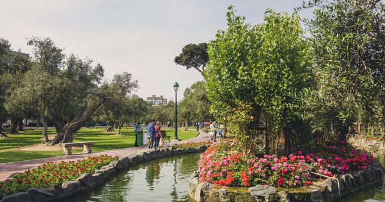 parques-familiares-en-san-isidro-el-olivar