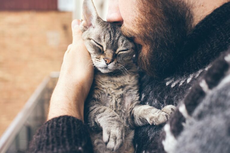 beneficios de vivir en un edificio pet friendly