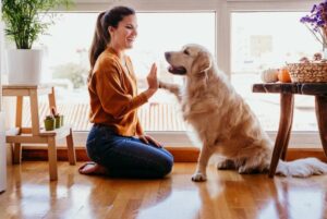 beneficios de vivir en un edificio pet friendly