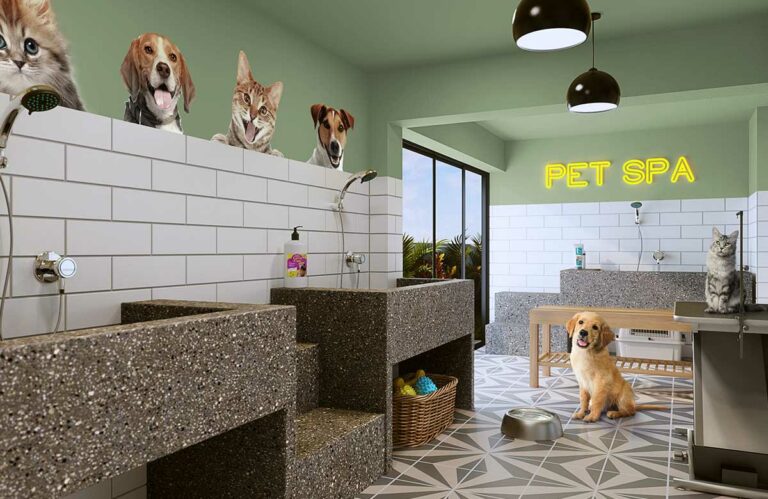 pet-spa-1