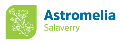 Astromelia