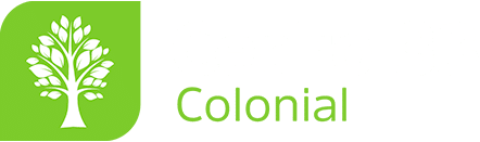 Cedro 33