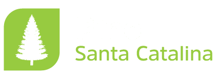 Pino